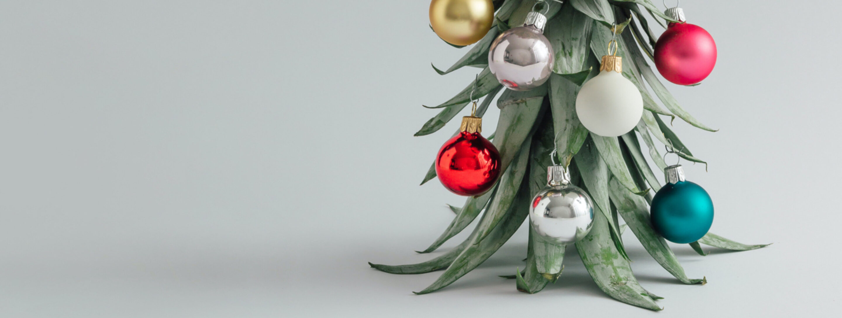 Van zomer naar kerst